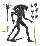 Pre-Order (deposit) NECA Alien: Romulus Ultimate Xenomorph XX121 7” Scale Figure