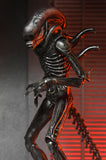 Pre-Order (deposit) NECA Alien: Romulus Ultimate Xenomorph XX121 7” Scale Figure