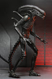 Pre-Order (deposit) NECA Alien: Romulus Ultimate Xenomorph XX121 7” Scale Figure