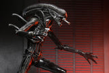 Pre-Order (deposit) NECA Alien: Romulus Ultimate Xenomorph XX121 7” Scale Figure