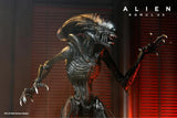 Pre-Order (Deposit) - NECA Alien Romulus Ultimate Scorched Alien Xenomorph Figure