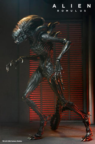 New in stock this week! NECA Alien Romulus Ultimate Scorched Alien Xenomorph Figure