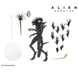 Pre-Order (Deposit) - NECA Alien Romulus Ultimate Scorched Alien Xenomorph Figure