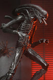 Pre-Order (deposit) NECA Alien: Romulus Ultimate Xenomorph XX121 7” Scale Figure